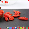 Goji Beeren Vorteile Gewichtsverlust chinesische Beeren Goji Wolfberry und Goji-Beere